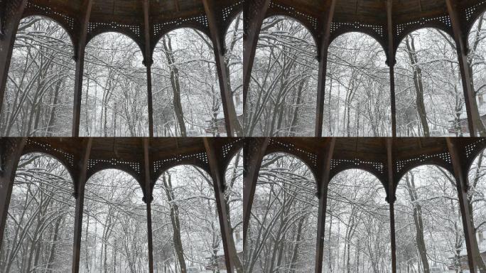 雪树木结构美丽雪景