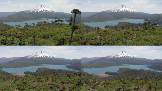 火山和湖泊鸟瞰图森林树木山丘