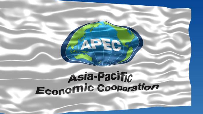 亚洲太平洋经济合作组织旗帜1