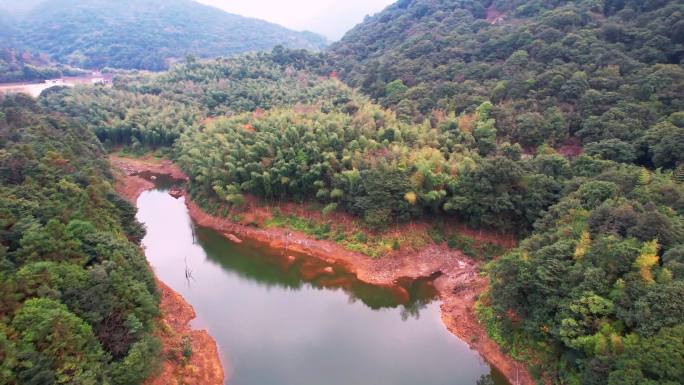 广州从化石门森林公园石灶红叶河谷竹林