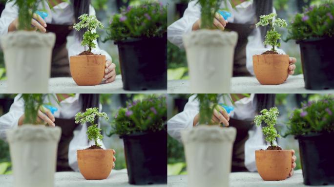 一位年轻女子在植物上喷水