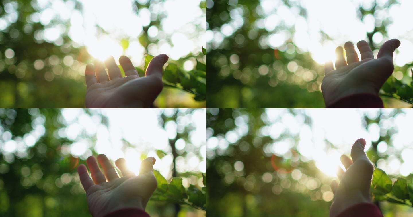 伸出手触摸阳光感受享受大自然外出旅行4K