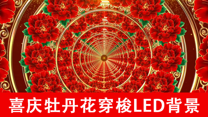 喜庆牡丹花穿梭LED背景