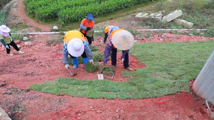 基础设施建设农民工做城市绿化