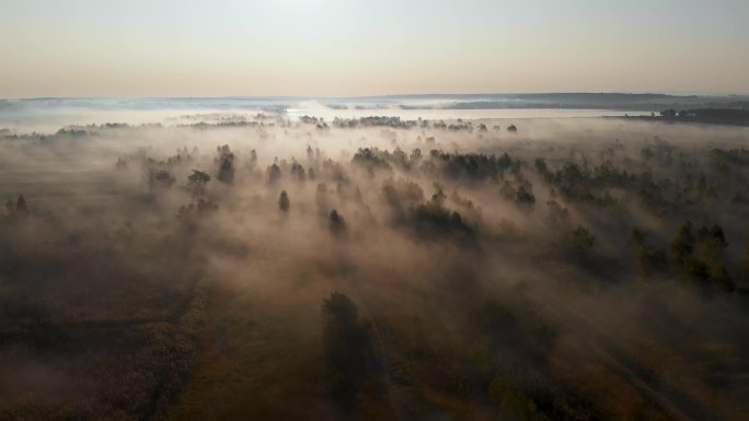日出雾气覆盖着树木的壮丽鸟瞰图