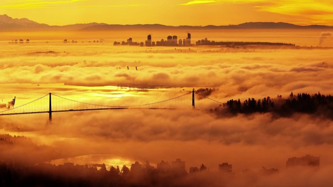 有雾的早晨鸟瞰图城市建筑快速发展航拍延时
