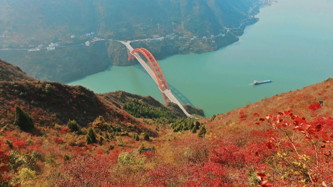 大气4K红叶延时