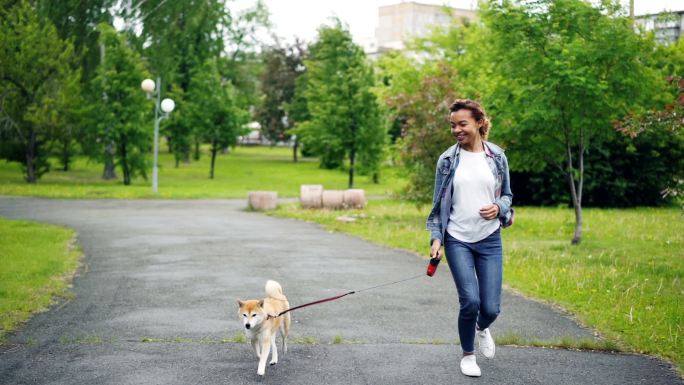 和狗狗一起跑步国外外国笑容笑脸柴犬遛狗