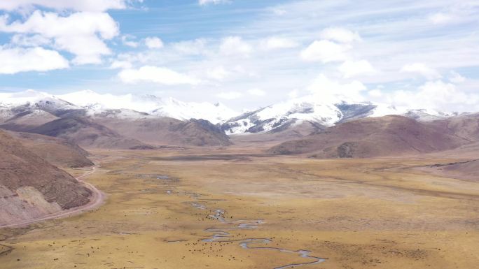 西藏阿里大草原
