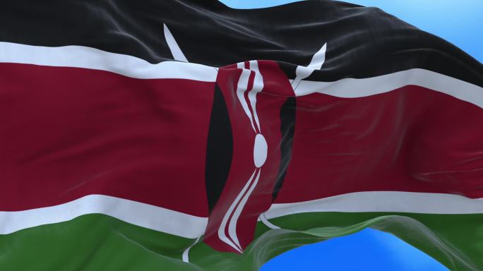 肯尼亚国旗的无缝环