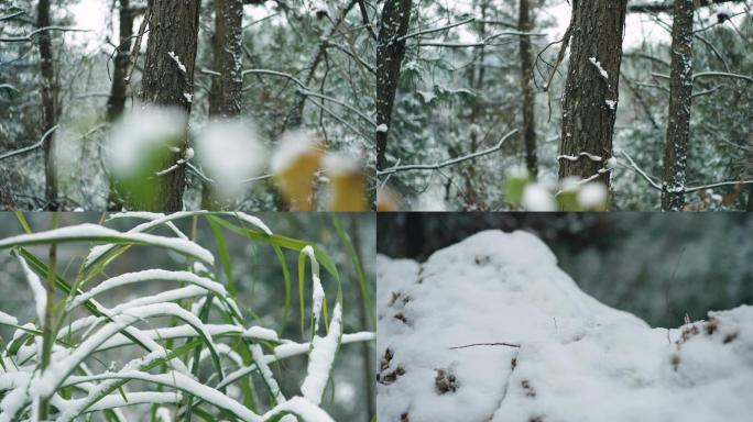 下雪 雪景