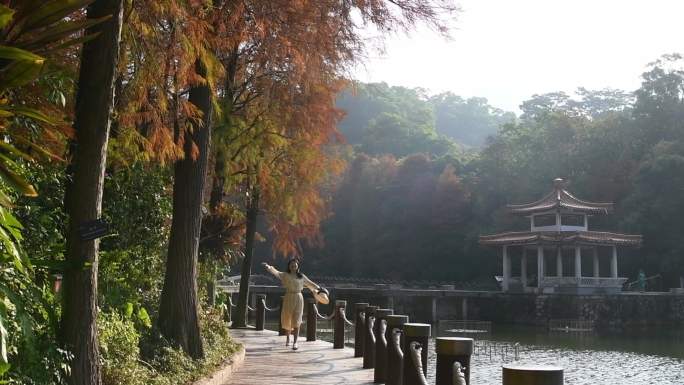 美女探秋深圳仙湖 欣赏落羽杉红妆