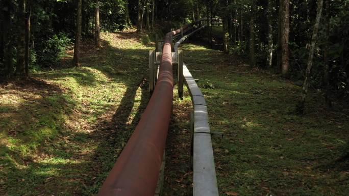 亚马逊雨林中生锈的棕红色油管