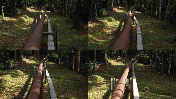 亚马逊雨林中生锈的棕红色油管