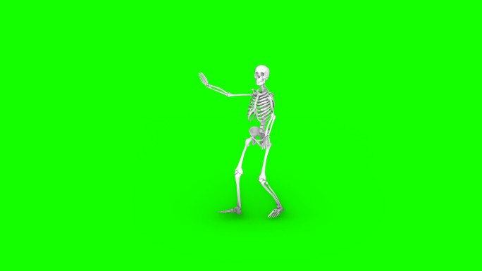 骨骼在绿色背景上跳舞