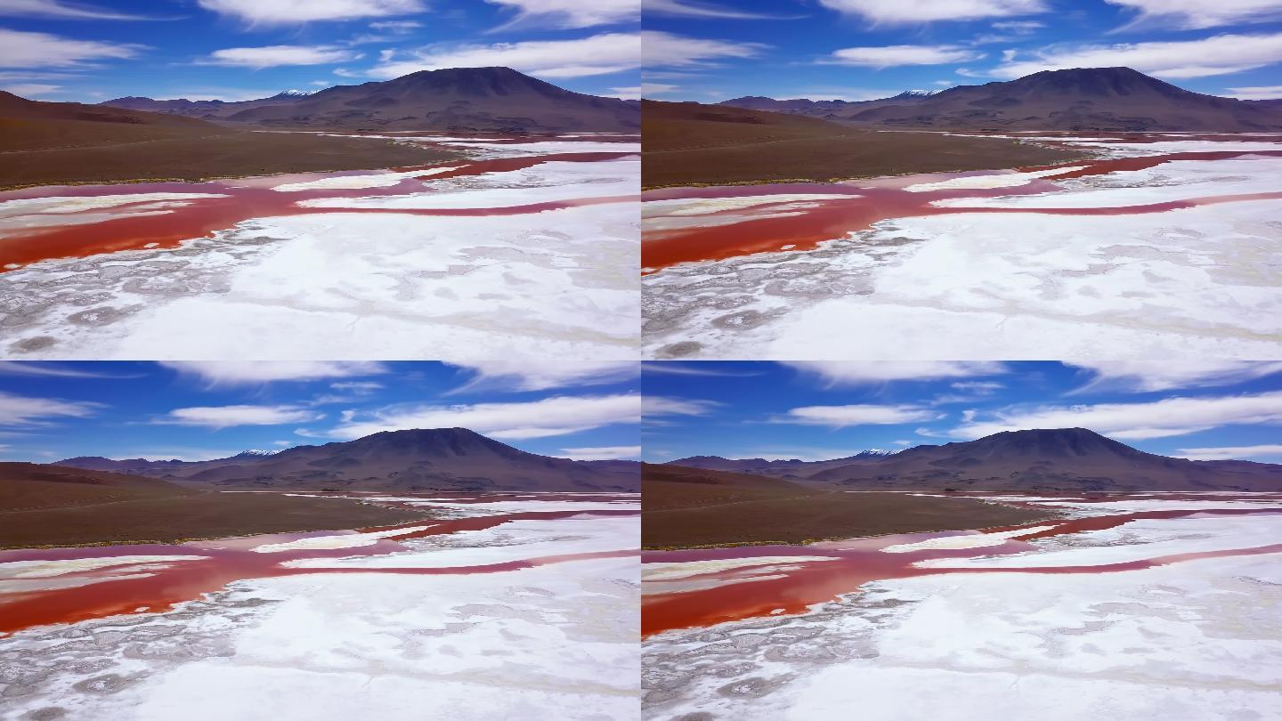 玻利维亚粉红色的盐滩