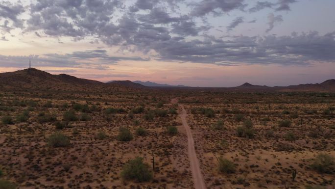 亚利桑那州索诺兰沙漠