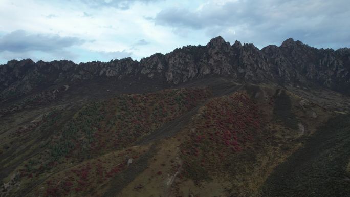 祁连山秋景