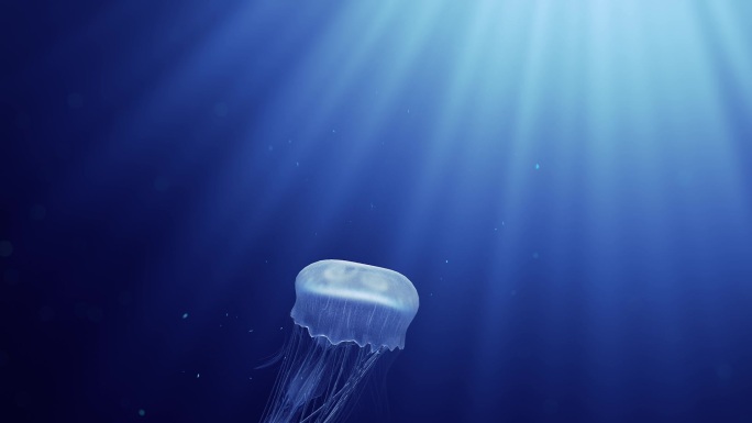 水母在深海中游泳的三维动画