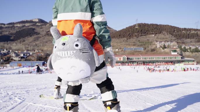 滑雪 单板自由滑雪 情侣 滑雪装备