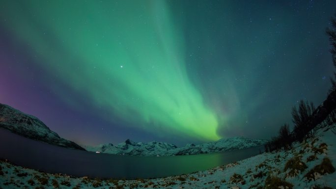 挪威特罗姆索的北极光
