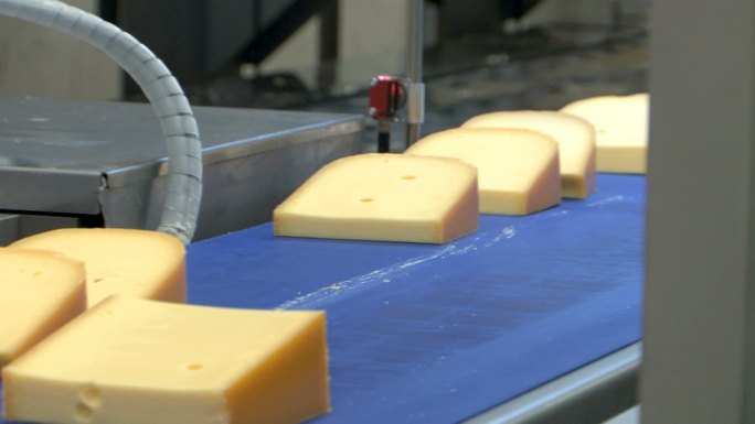 奶酪食品工业包装流水线