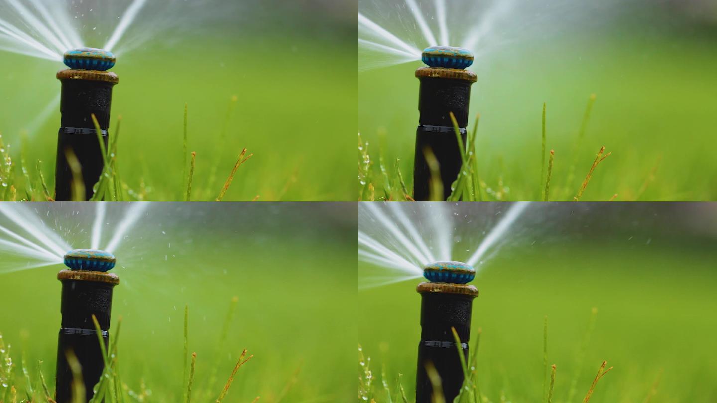 自动喷水器在绿草下浇灌草坪