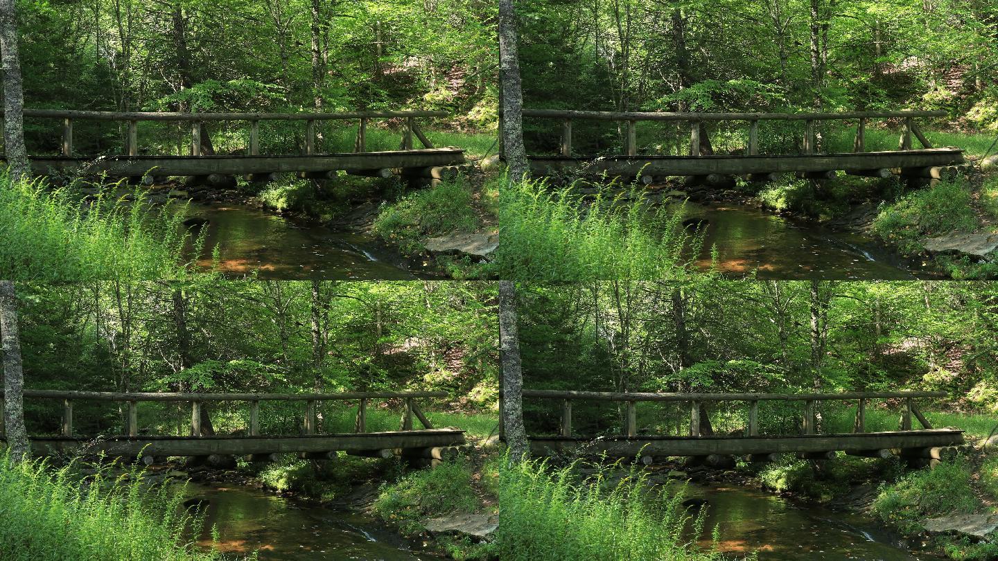 森林中的河流小桥流溪水