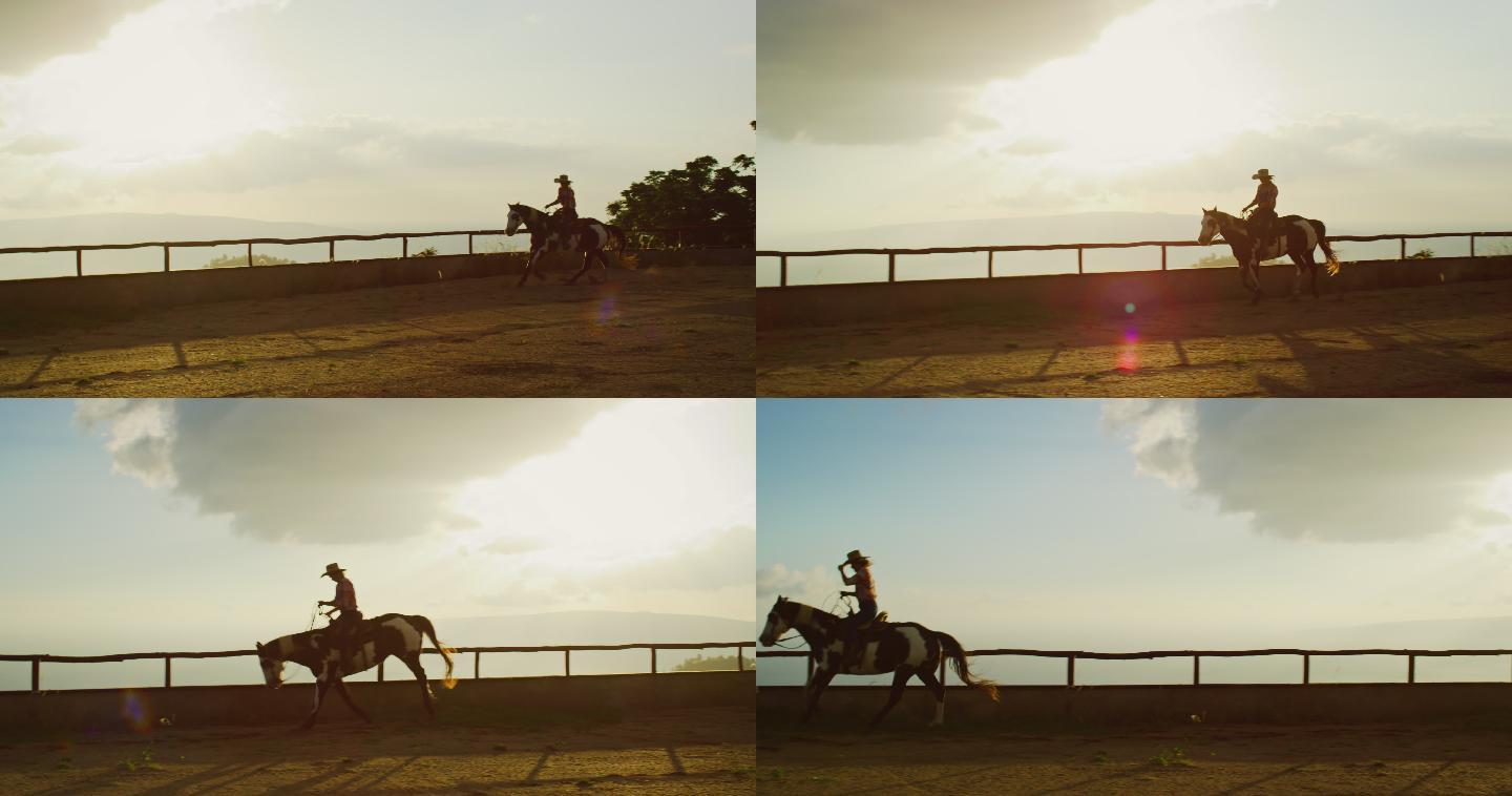 日落时骑马的女人马术骑术马场