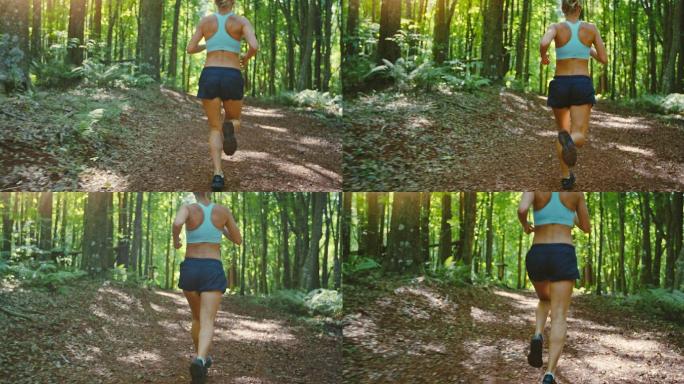 迷人的年轻女运动员在森林中跑步，