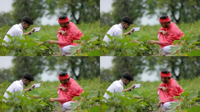 年轻的印度农学家智慧创新科技种植科学助农
