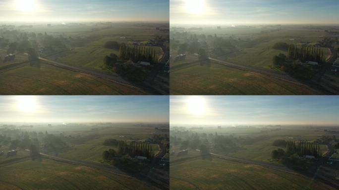 晨雾笼罩着美国农村的农业小镇
