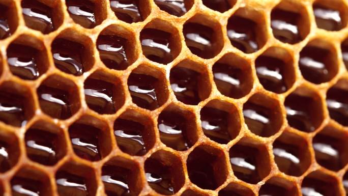 蜂巢里的新鲜蜂蜜。