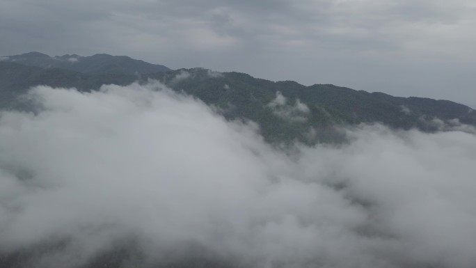 云雾山川 大山树林 航拍穿云