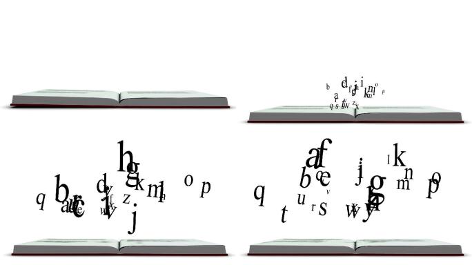红皮书打开后字母浮动