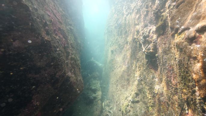 阳光穿过水下岩洞海中生物