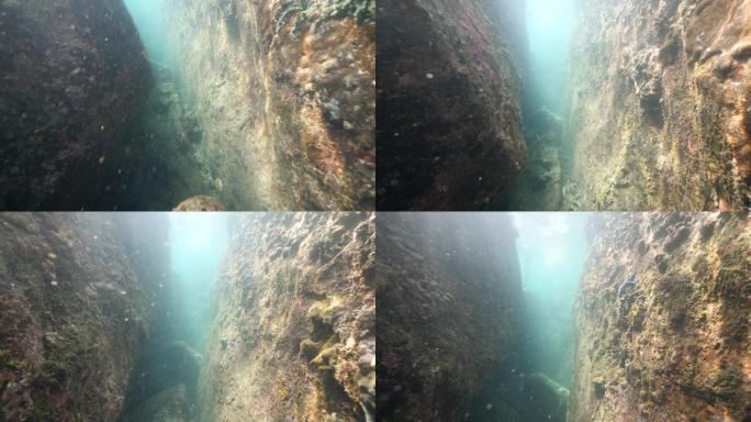 阳光穿过水下岩洞海中生物