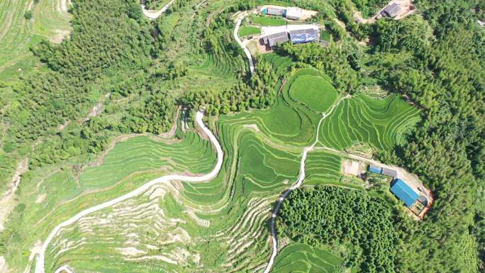 4K 航拍江西省吉安市的遂川桃源梯田景区