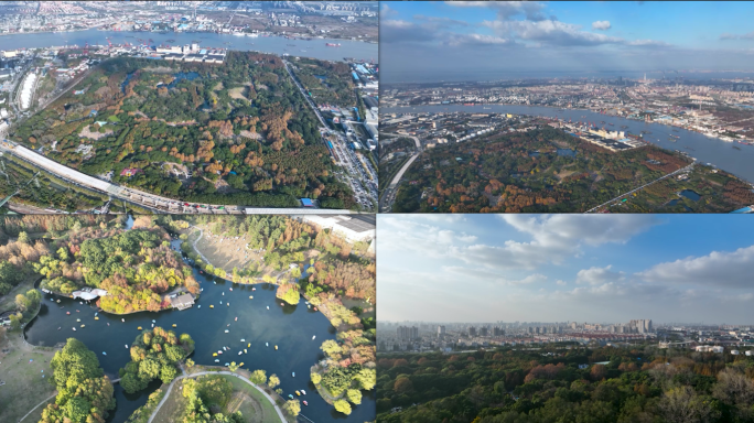 【4K】上海共青国家森林公园航拍