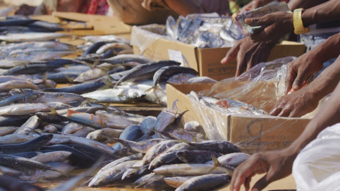 非洲海鲜市场上出售的鱼