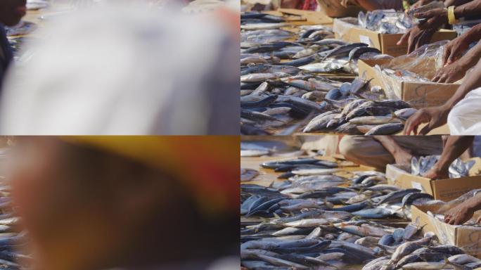 非洲海鲜市场上出售的鱼