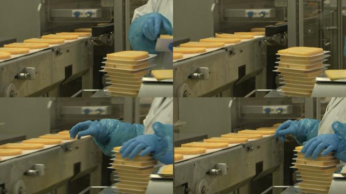 奶酪食品工业包装流水线