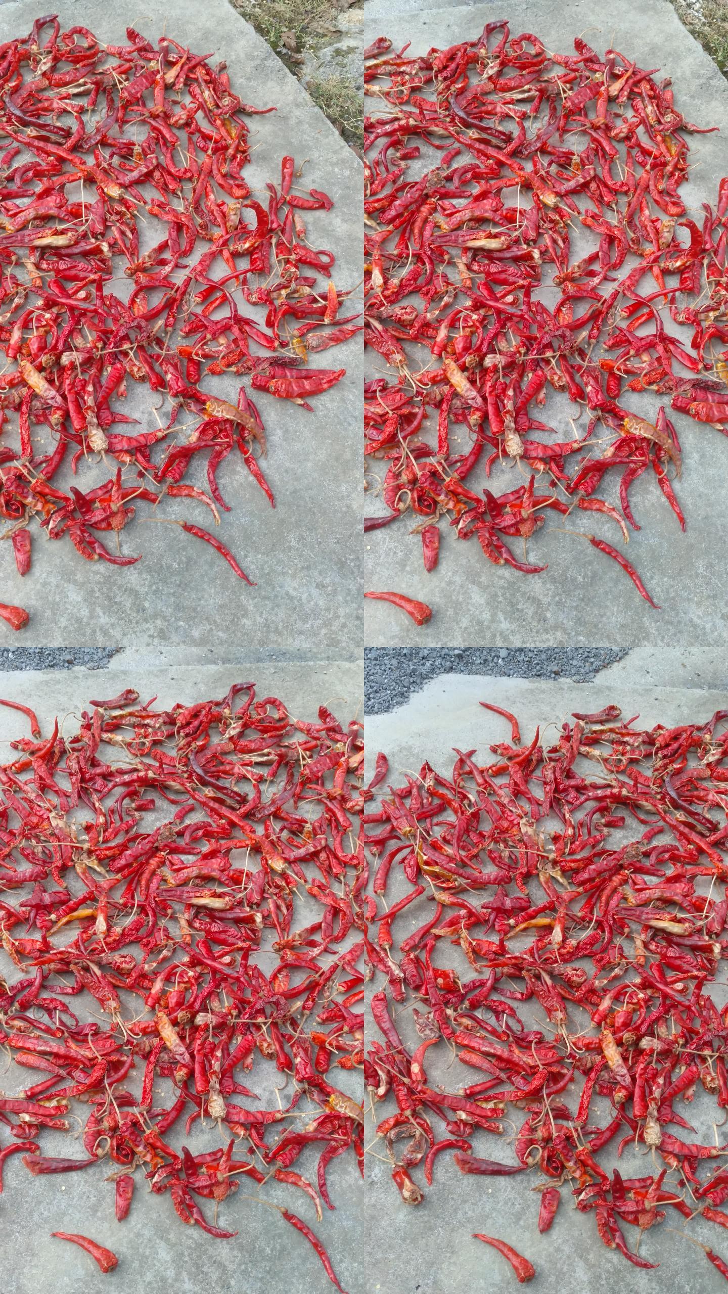 红辣椒食材调味品4K实拍视频