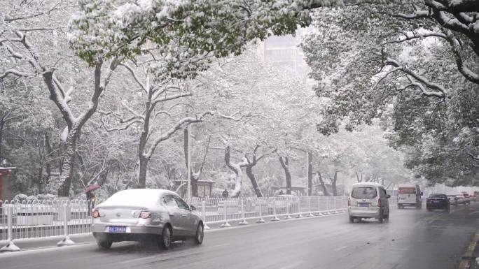 城市下雪道路车流街道雪景