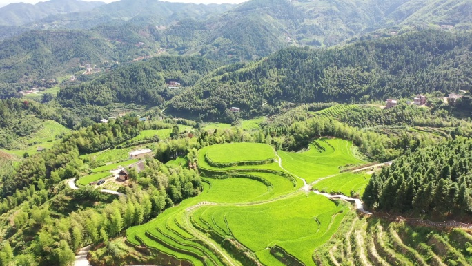 4k 航拍江西遂川梯田望天丘