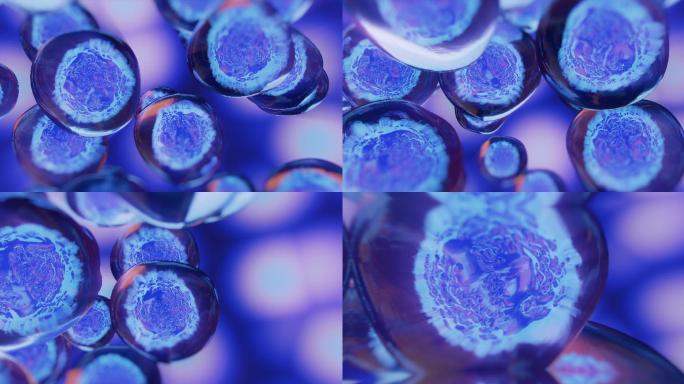 胚胎干细胞三维渲染