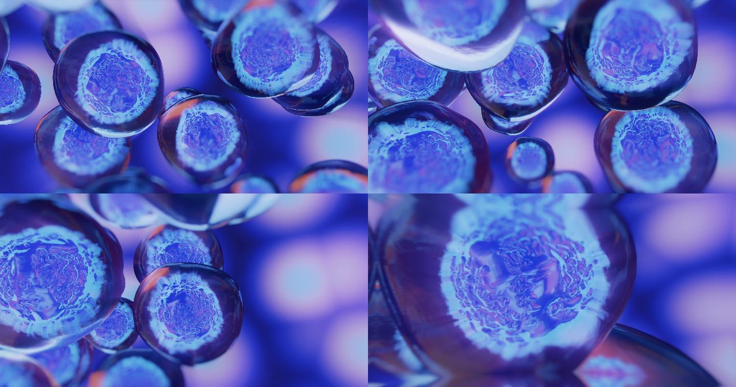 胚胎干细胞三维渲染