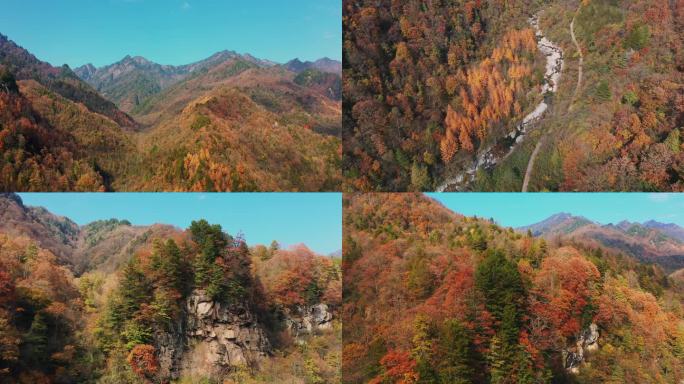 天然氧吧森林山谷秋景溪流4K航拍