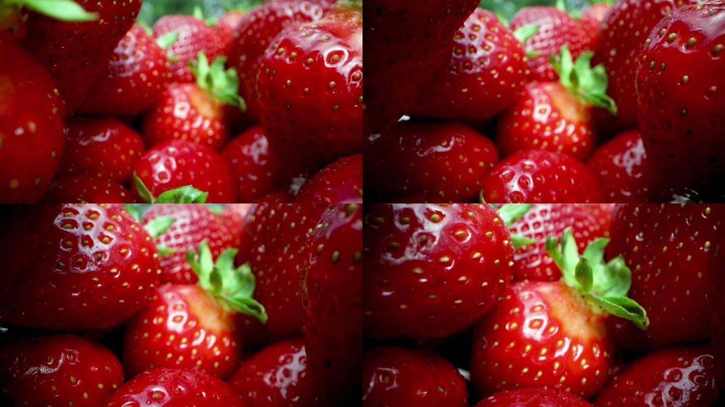 京郊草莓初上市 地头采摘价格近百元-足够资源