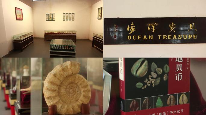 海世界贝壳文化博物馆环境